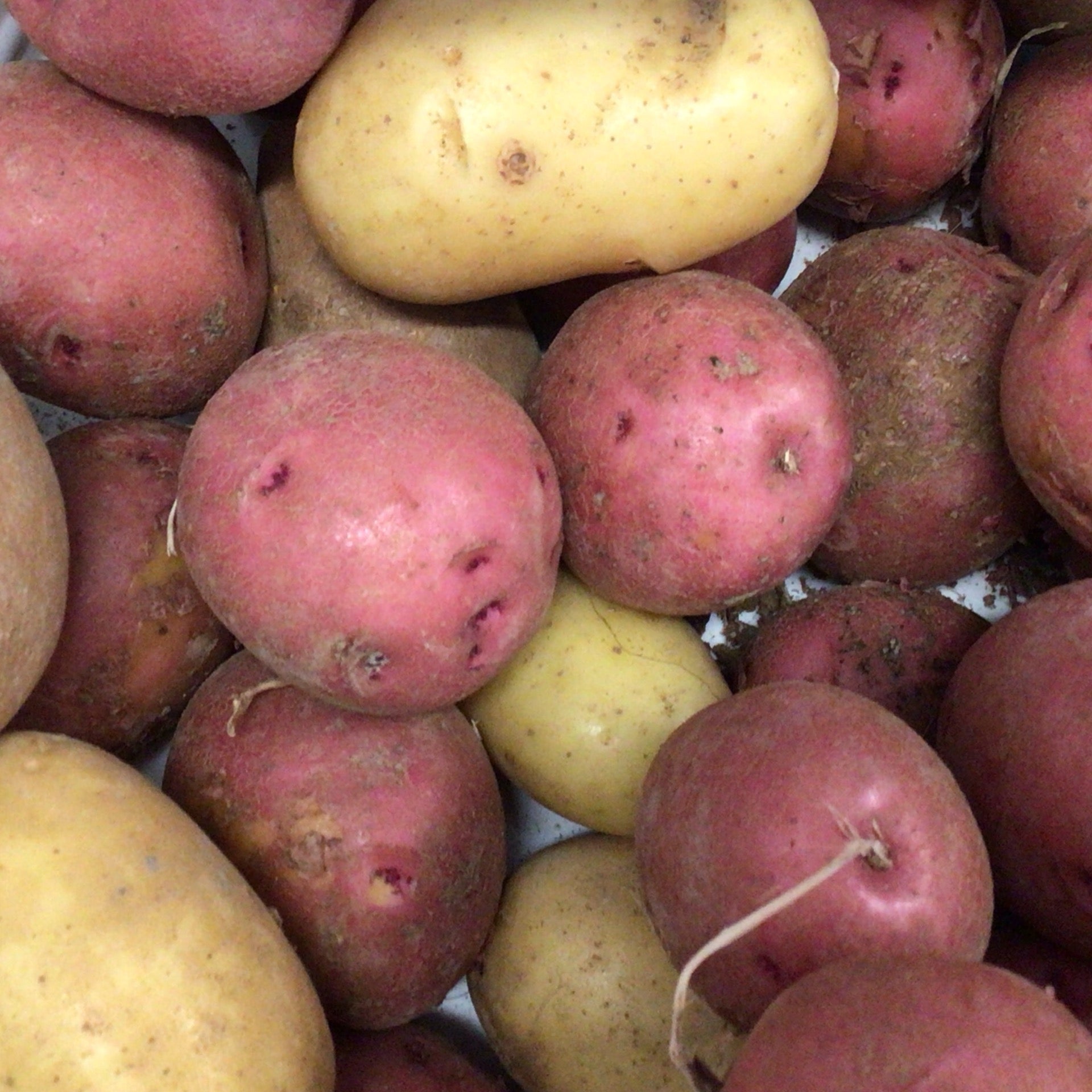 Patates 1 kg