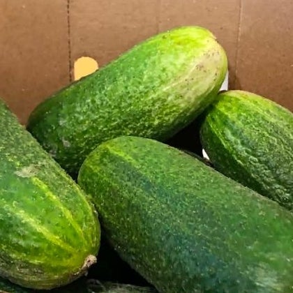 Cornichons 1kg
