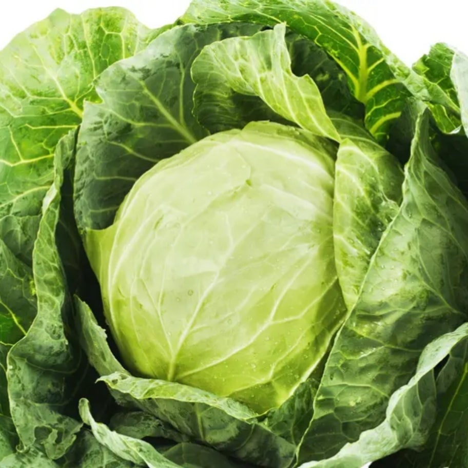 Chou d'été gros