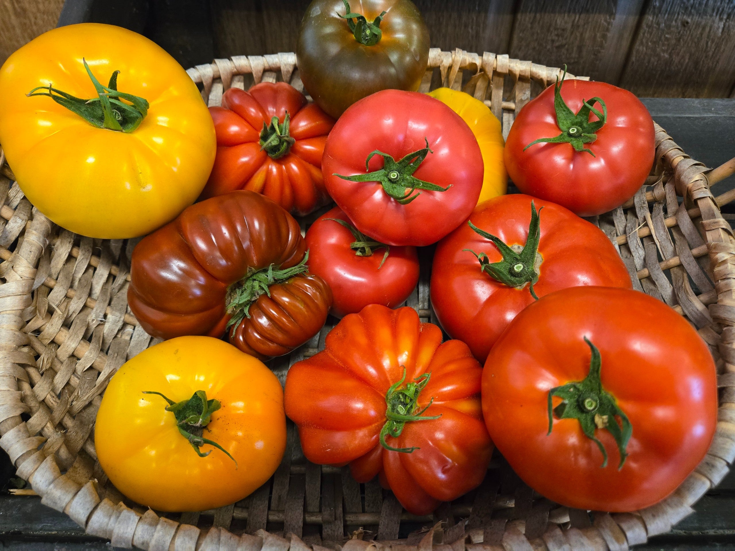 Tomates 600 grammes